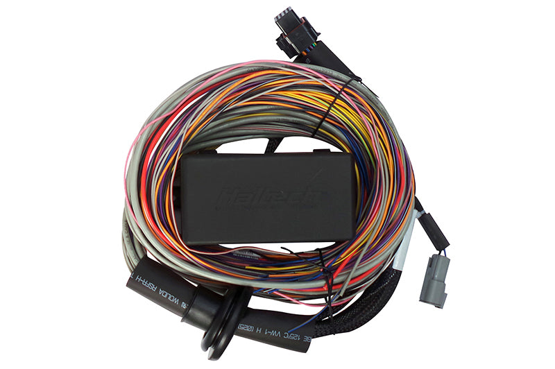 Haltech Elite 750 8ft Premium Universal Wire-In Harness