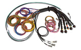 Haltech NEXUS R5 Basic Universal Wire-In Harness