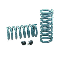 Load image into Gallery viewer, Hotchkis 67-72 GM A-Body / 78-88 GM A/G Body Rear Performance Coil Springs