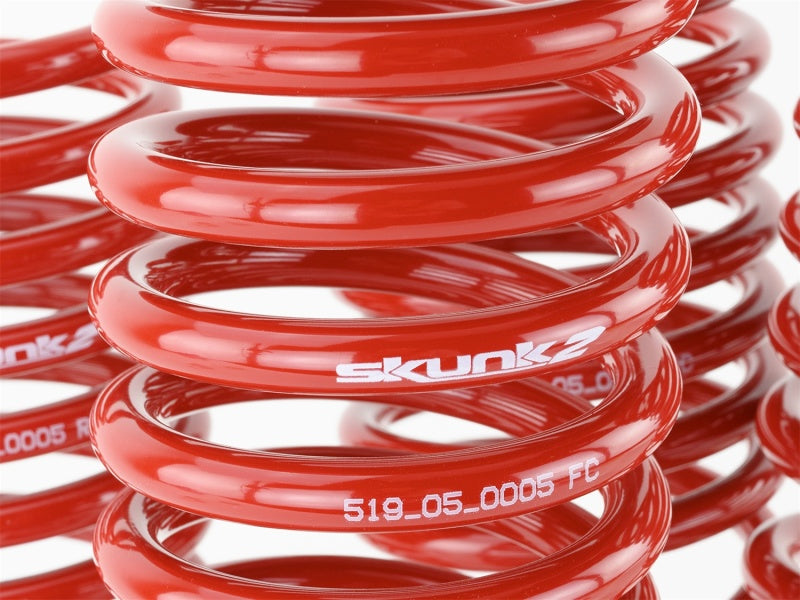 Skunk2 92-95 Honda Civic/Del Sol Lowering Springs (2.50in - 2.25in.) (Set of 4)