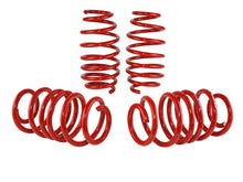 Load image into Gallery viewer, Skunk2 12 Honda Civic Lowering Springs (2.25 - 2.00in) (Set of 4)