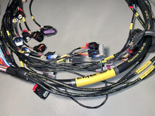 Load image into Gallery viewer, GM LS3 to KV Motorsports Terminated Harness