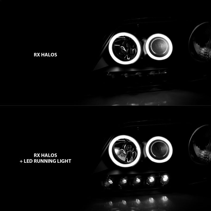 ANZO 1997-2003 Ford F-150 Projector Headlights w/ Halo Black (CCFL)