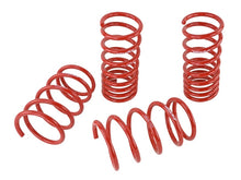 Load image into Gallery viewer, Skunk2 2013 FR-S/BRZ/FT86 Lowering Springs (Set of 4)